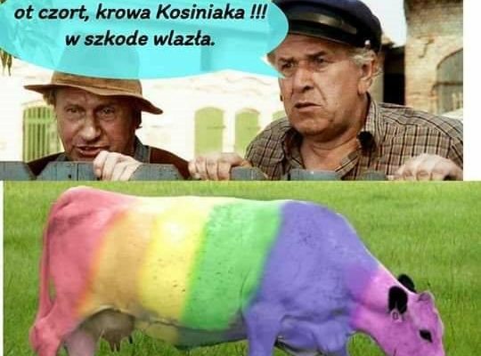 Jak, gdzie, kiedy zawiadomić…