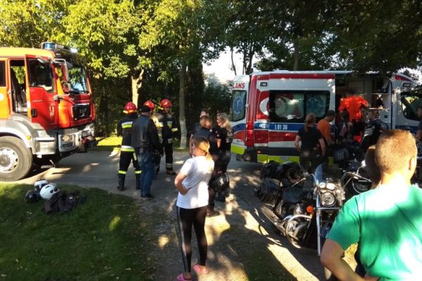 Pies spowodował wypadek